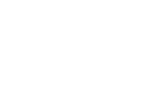 Autobiznis